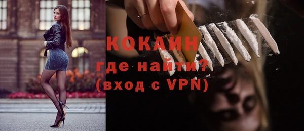 PSILOCYBIN Дмитриев