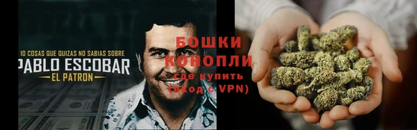 PSILOCYBIN Дмитриев