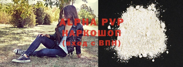 PSILOCYBIN Дмитриев