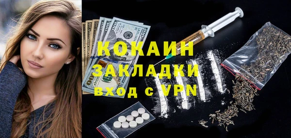 PSILOCYBIN Дмитриев