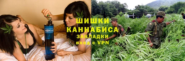 PSILOCYBIN Дмитриев